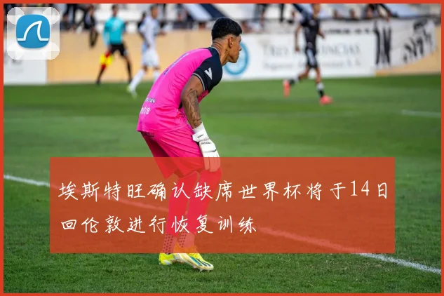 埃斯特旺确认缺席世界杯将于14日回伦敦进行恢复训练