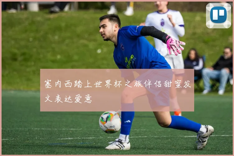 塞内西踏上世界杯之旅伴侣甜蜜发文表达爱意