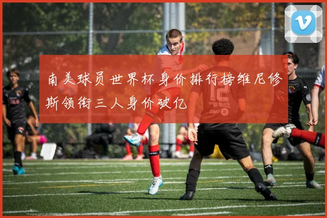 南美球员世界杯身价排行榜维尼修斯领衔三人身价破亿